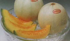 V12ȍ~ח\胁y@vX@zTJ^̃^l