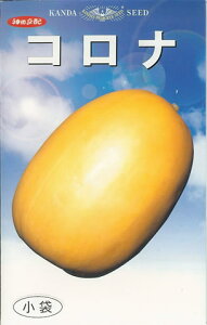 y@Ri@z i͔|p q  ܂ _cj