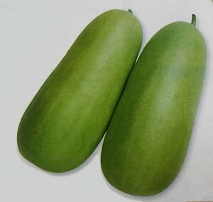 Ey@ڔZ@z500 i͔|p q VE 낤 YҌ ^LCj