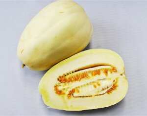 L@qy@܂키@z i͔|p q ʍ ^KEj