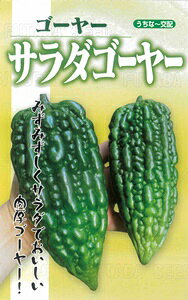 S[[y@T_S[[@zi͔|p q t^ocj