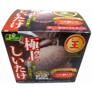 �V�C�^�P���y�@�ɏサ������-�ۉ�2���iF206�j�z �i�͔|�p ���̂� ��ہj