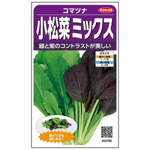 R}ciy@؃~bNX@z珬܁@TJ^̃^l