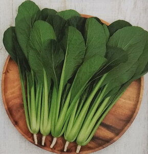 V6{ׁq20mlE2dLrR}ciy@炬@zTJ^̃^l