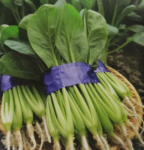 q20mlE2dLrR}ciy@Ȃ܁@zTJ^̃^l