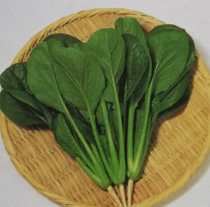 R}ciy@悷݁@zTJ^̃^l