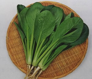 V12ȍ~ח\R}ciy@͂܂Â@zTJ^̃^l