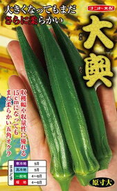 ※新種11月以降入荷予定オクラ種【　大奥　】ナント種苗