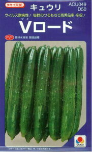 LEy@V[h@z350 i͔|p q イ ӉZ ^LCjii햼FV[hj