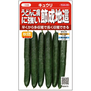 LEy@ǂ񂱕aɋߐn@z珬܁@TJ^̃^l