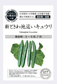 有機種子【　新ときわ地這いキュウリ　】小袋 （栽培用 種子 有機栽培の種・固定種・国産 ）