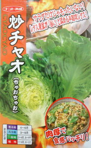 ^Xy@u`IiႨႨjz  i͔|p q `V  igj