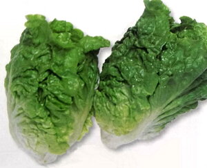 ~j^Xy@}mA@zGF i͔|p q `V  ^LCj