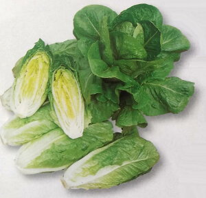 C^Xy@RX^X@zGF i͔|p q `V  ^LCj