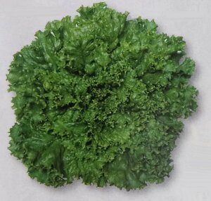 V7ȍ~׌㔭\胊[t^Xy@O[WPbg@zybgq 130 i͔|p q `V  ^X ^LCji_ѐYȓo^i i햼FTLE460j