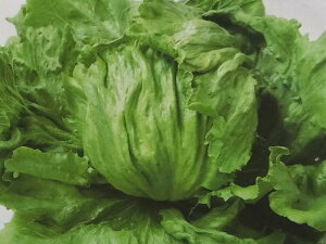 qybg5000r^Xy@p[XC[v@zTJ^̃^l