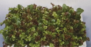 q珬܁E20mlr^Xy@K[f^X~bNX@zTJ^̃^l