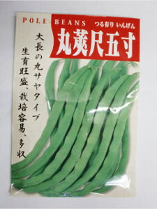 CQy@邠 䰎ڌܐ@z30ml i͔|p q 񂰂 Bj