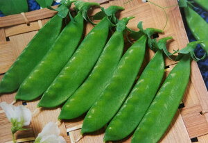 GhE}y@O\@z1dL i͔|p q LkTGhE ǂ܂ 氓 ʂ ^LCj