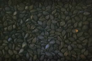 V12ȍ~ח\S}y@܁@z^LCc