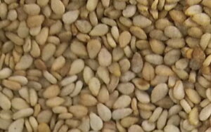 V12ȍ~ח\S}y@܁@z^LCc