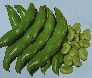 7{ȍ~ח\\}y@h@zTJ^̃^l