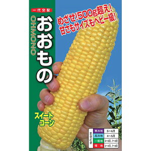 藦ۏ؊10܂ŃgERVy@́@zigc
