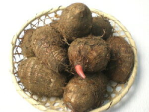 �T�g�C������y�@�ԉ��g�@�z1kg �i�t�A�� ���� ���Ƃ��� �͔|�p�j