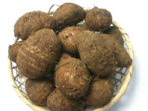 �T�g�C������y�@�ΐ쑁���i�������j�z 1kg �i�͔|�p �^�l�C�� �t�A�� ���� ���Ƃ����j