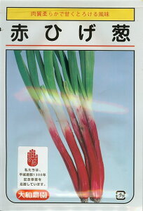 ネギ種【 赤ひげ葱 】5ml (栽培用 種子 葱 ねぎ 大和)
