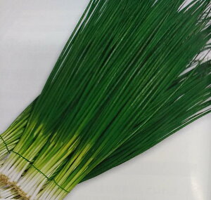 q2dLE1LrlMy@F1OXiTHN167j@zg[zNc