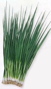 2025NH׌㔭\lMy@ā@z2dL i͔|p q t˂ K YҌ ^LCj