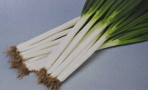 q1dLEybg6000rlMy@Đp[@zTJ^̃^l