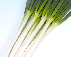 �l�M��y�@�Ă̕�R�@�z�i�͔|�p ��q �˂� �K �݂��ǋ��a�j