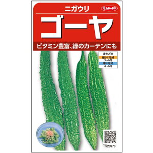 jKEy@S[@z@TJ^̃^l