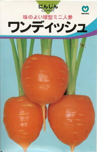 jWy@fBbV@z i͔|p q ɂ񂶂 lQ ێj