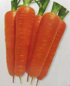 jWy@ĎNgܐ@zRF i͔|p q ɂ񂶂 lQ ^LCj