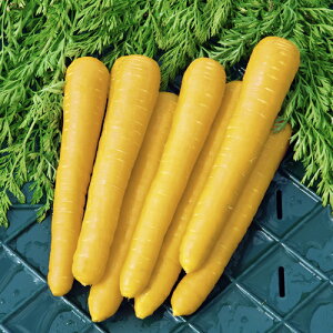 jWy@Vg@zi͔|p q ɂ񂶂 lQ ݂ǁj