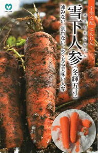 jWy@ቺlQ@zi͔|p q ێ j