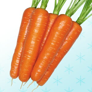 jWy@~Pܐ@zi͔|p q ێ j