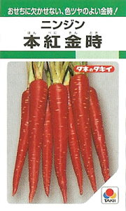 jWy@{g@zGF i͔|p q ɂ񂶂 lQ ^LCj