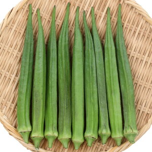 V12{׌㔭INy rbOXeBbN z珬܁@TJ^̃^l