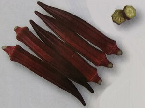 INy@xj[@zGF i͔|p q  l @ ^LCj