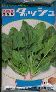 q1dLE1LrzE\Ey@_bV@za_