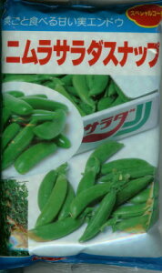 GhEy@jT_Xibv@z1L i͔|p q 氓 ǂ ݂ǁjii햼FjT_1j