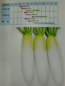 _CRy@YRVx@z2dL i͔|p q  卪 ^J}j