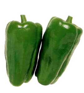 V2025N1ȍ~ח\s[}y@䂽@z^LCc