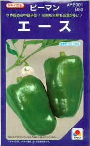 V12ȍ~ח\s[}y@G[X@z^LCc