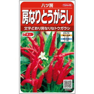 V12ȍ~ח\q珬܁rgEKVy@c[@zTJ^̃^l