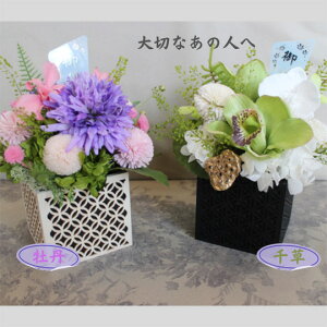 yz  A[eBtBVt[ vU[uht[ p  yO@ڂzy瑐@zyyMt_zyyMt_bŹz   d